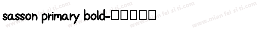 sasson primary bold字体转换